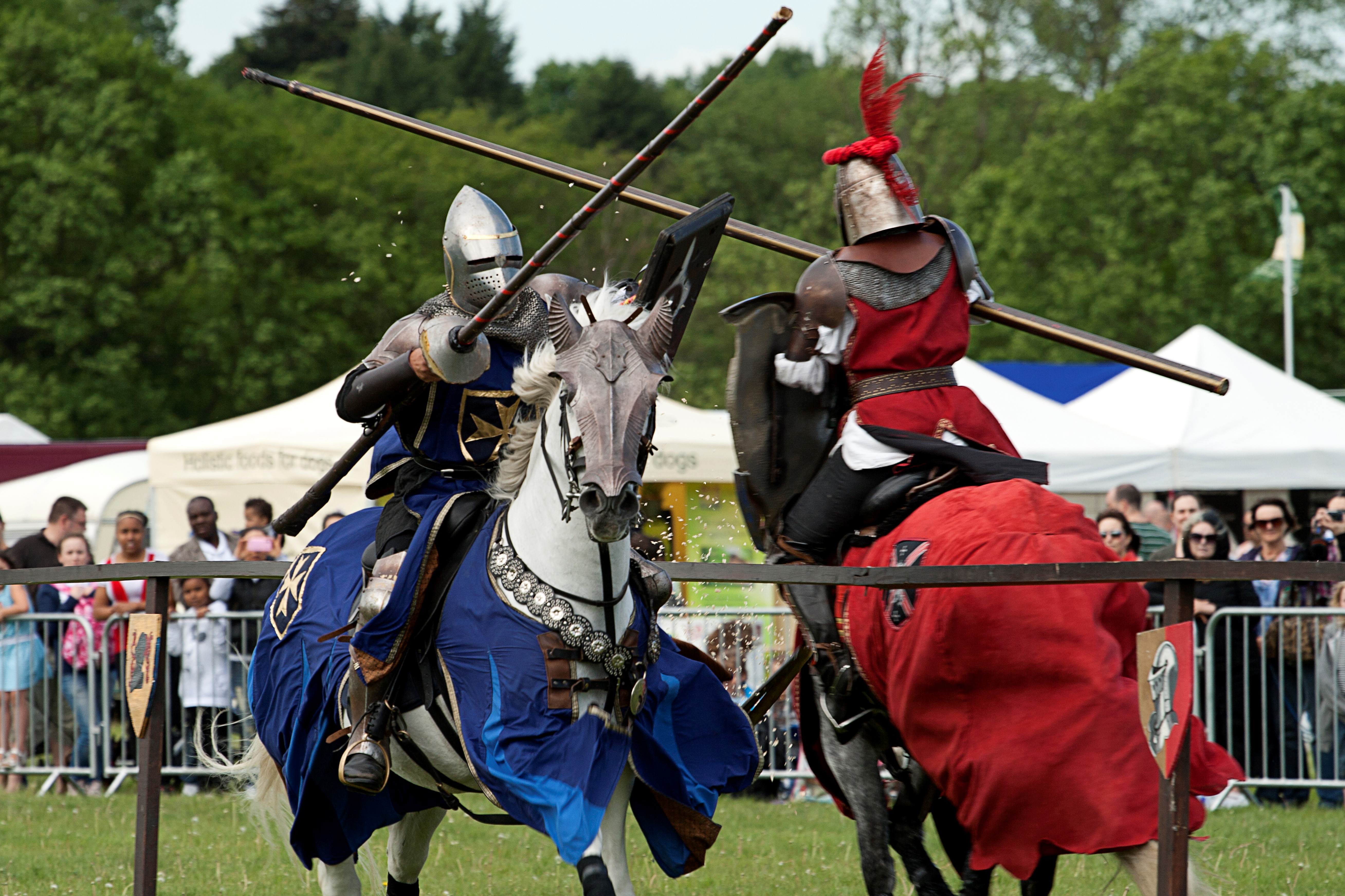 jousting