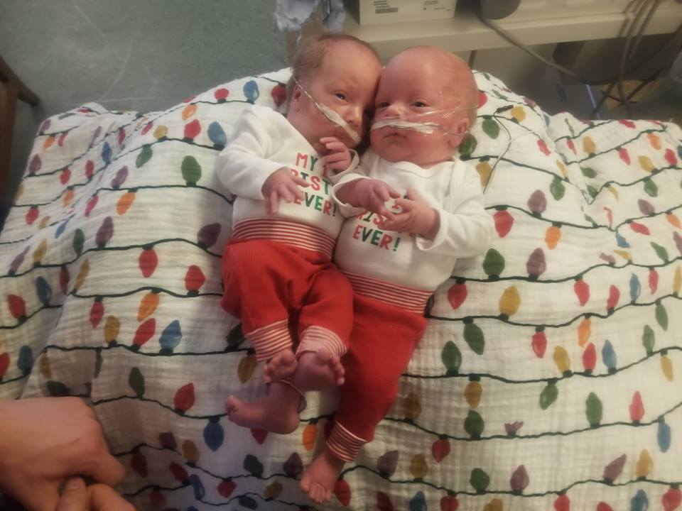 49052667_271236043510333_7619168873824124928_n